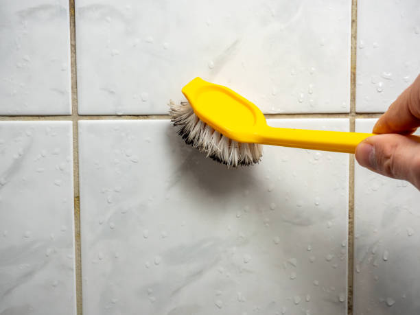 Best Mold Testing  in West Pasco, WA