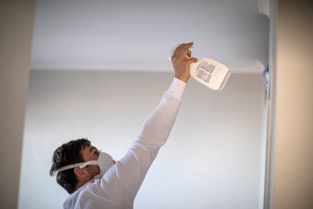Best Crawl Space Mold Removal  in West Pasco, WA