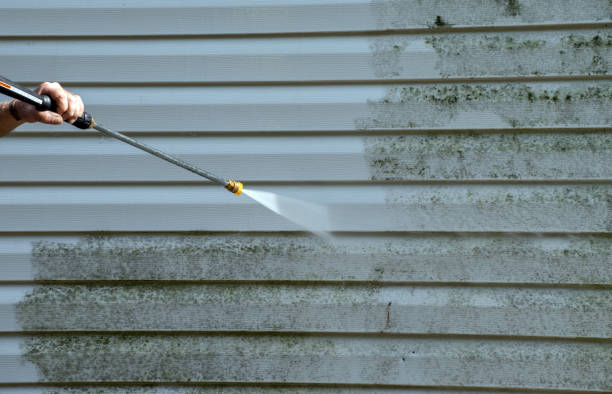 Best Mold Damage Repair  in West Pasco, WA