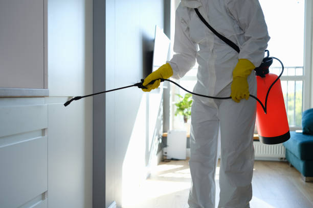 Best Affordable Mold Removal  in West Pasco, WA