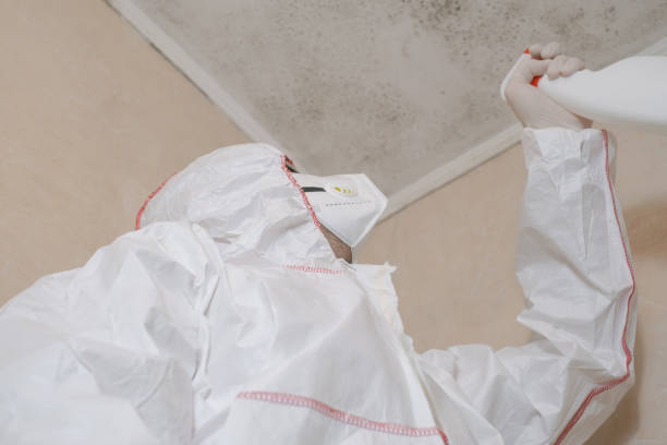 Best Toxic Mold Removal  in West Pasco, WA
