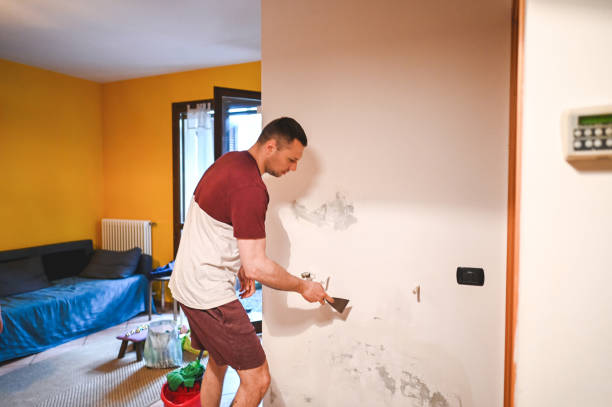 Professional Mold Removal in West Pasco, WA