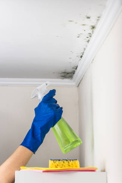 Best Mold Testing  in West Pasco, WA